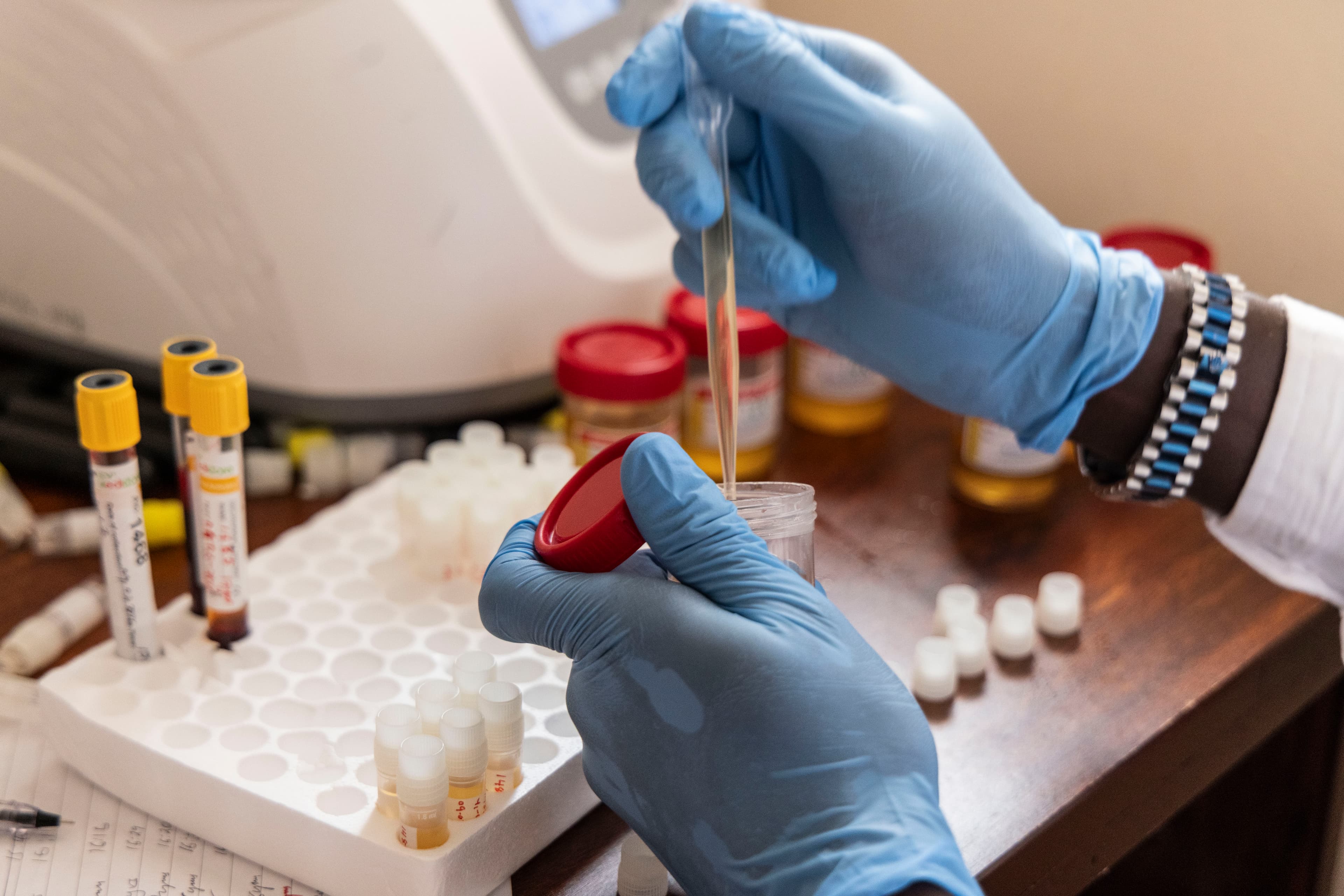 Laboratory processing of research samples at AMANI